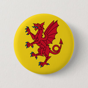 Somerset Flag England dragon Ronde Button 5,7 Cm
