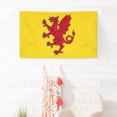 Somerset Flag England dragon symbol Spandoek (Insitu)