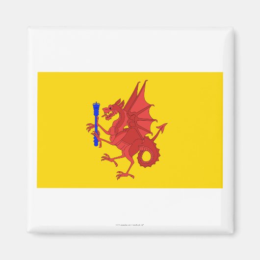 Somerset Flag Magneet (Voorkant)