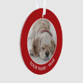 Sommeil de chien de cocker (devant)