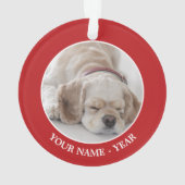 Sommeil de chien de cocker (dos)