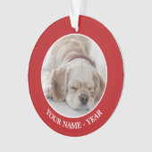 Sommeil de chien de cocker (devant)