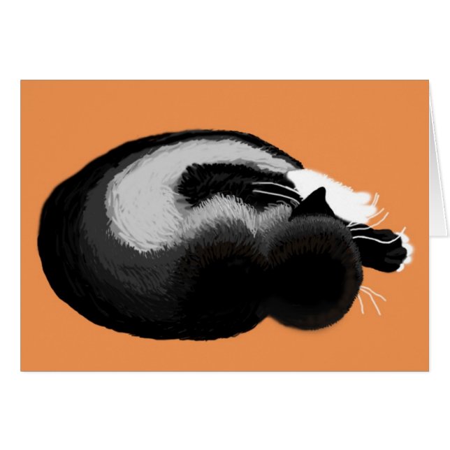 sommeil du chaton (Devant horizontal)