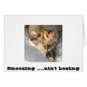 Sommeiller….n'est pas perdant