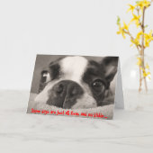 Sommige dagen zijn gewoon vlooien en geen kibbelen kaart (Gele Bloem)