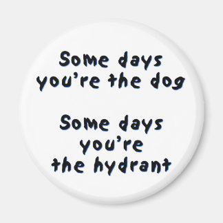 Soms ben je de hond magneet