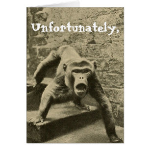 Soms is het jouw Circus, het zijn je apen