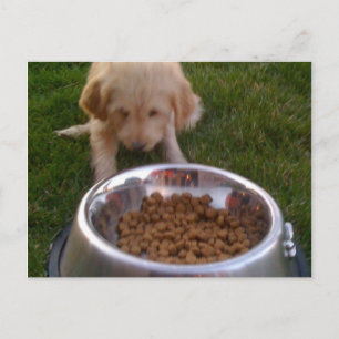 Soms is het moeilijk om aan uw verwachtingen te vo briefkaart