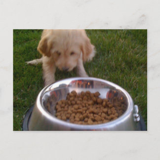 Soms is het moeilijk om aan uw verwachtingen te vo briefkaart