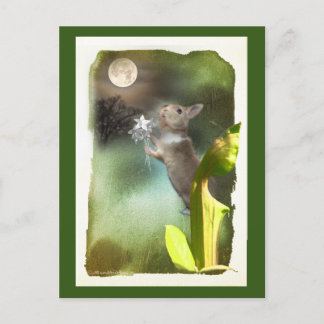 Soms laat 's nachts hoor ik Joey Zing / Kaart