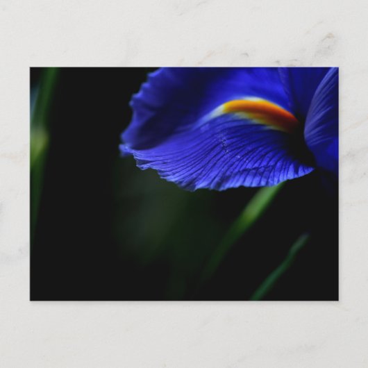 Soms Mooi briefkaart (iris) (Voorkant)