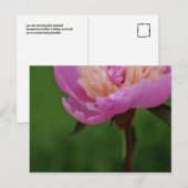 Soms Mooi briefkaart (pioen) (Voorkant / Achterkant)