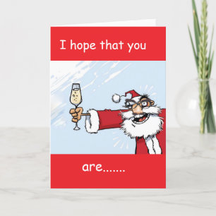 SOMS MOOI MAAR MEESTAL STOUT!!!!! FEESTDAGEN KAART