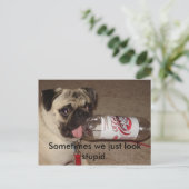 Soms zien we er gewoon dom uit. briefkaarten (Staand voorkant)