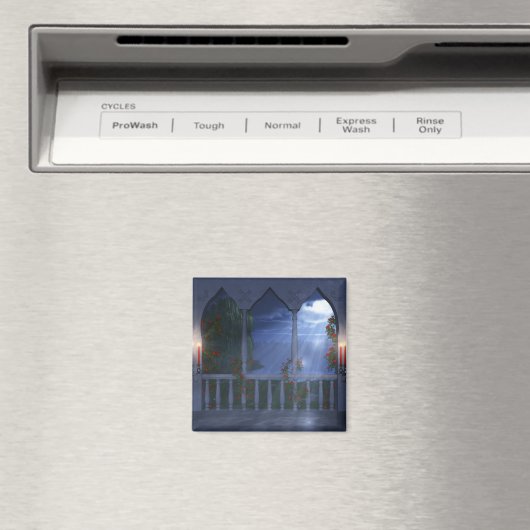 Son aimant manteau d'argent (In Situ (Lave-vaisselle))