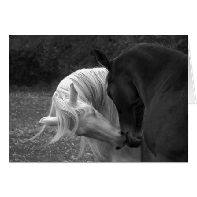 Son Amour (Devant horizontal)