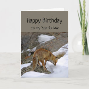 Son-in-law Deserve Wonderful Birthday Fox Kaart