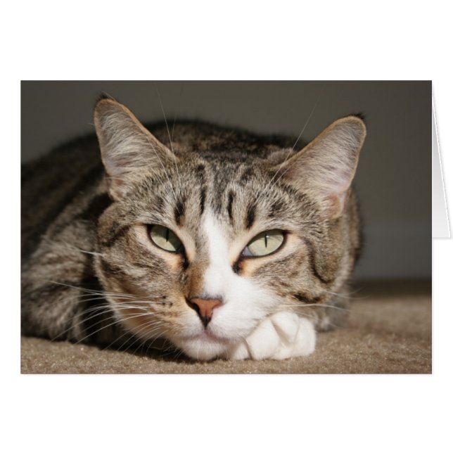 Son nom est Asie (Devant horizontal)