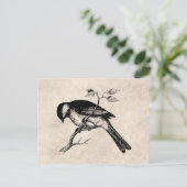 Song Bird Illustration - Birds 1800 Briefkaart (Staand voorkant)