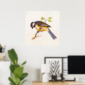  Song Bird Illustration - Birds 1800 Poster (Thuiskantoor)