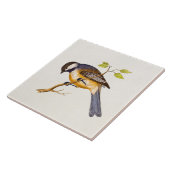  Song Bird Illustration - Birds 1800 Tegeltje (Zijkant)