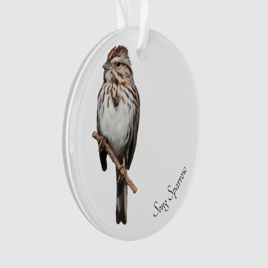 Song Sparrow (devant)