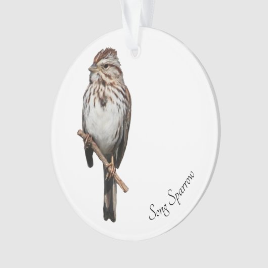 Song Sparrow (devant)