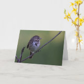 Song Sparrow Kaart (Gele Bloem)