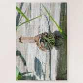 Song Sparrow Legpuzzel (Verticaal)