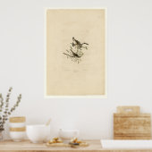 Song Sparrow Poster (Keuken)