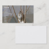 Song Sparrow Visitekaartje (Voorkant / Achterkant)