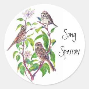 Song Sparrows Ronde Sticker