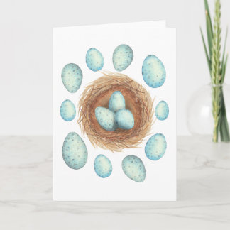 Song Thrush Eggs Wenskaart Kaart