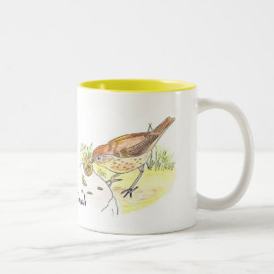 Song Thrush mok
