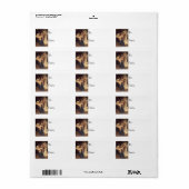 Song van het  Label van de kerstman Angels (Full Sheet)