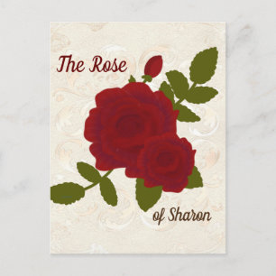 Song van Solomon Roos Designer Briefkaart