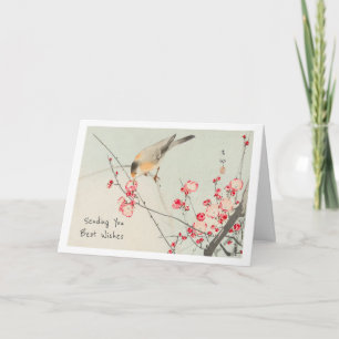 Song Vogel Japans Roze Bloesem Groet Kaart