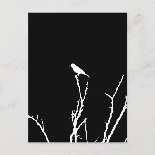 Songbird Night Briefkaart (Voorkant)