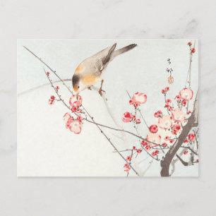 Songbird on blossom tak - Ohara Koson - Art Briefkaart