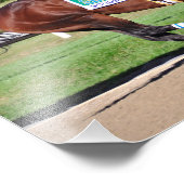 Songbird & Smith Foto Afdruk (Hoek)