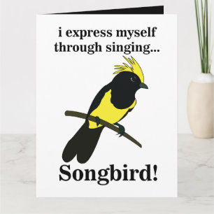 Songbird Tit Bird Funny Birdwatching Birdwatcher Kaart