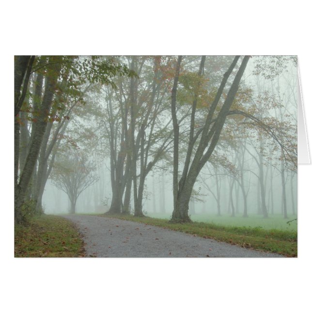 Songbird Trail (Voorkant Horizontaal)