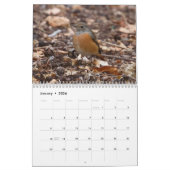 Songbirds & Butterflies Calendrier 2022 (Jan 2026)