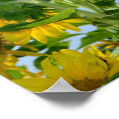 Sonnenblumen Poster (Hoek)