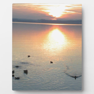 Sonnenuntergang am See mit Enten Fotoplaat