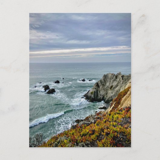 Sonoma Coast State Park, Californië Briefkaart (Voorkant)