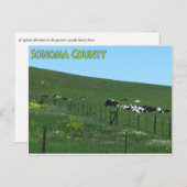 Sonoma County briefkaart (Voorkant / Achterkant)