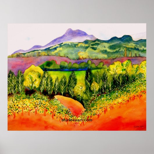 Sonoma County Vineyard Poster (Voorkant)