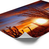 Sonora Desert, Arizona Poster (Hoek)