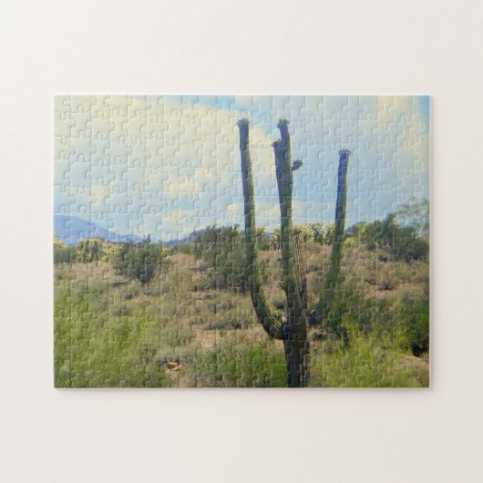 Sonora woestijn puzzel (Horizontaal)